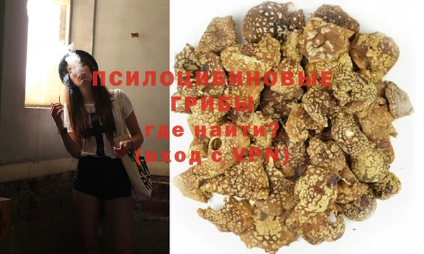 крисы Аркадак