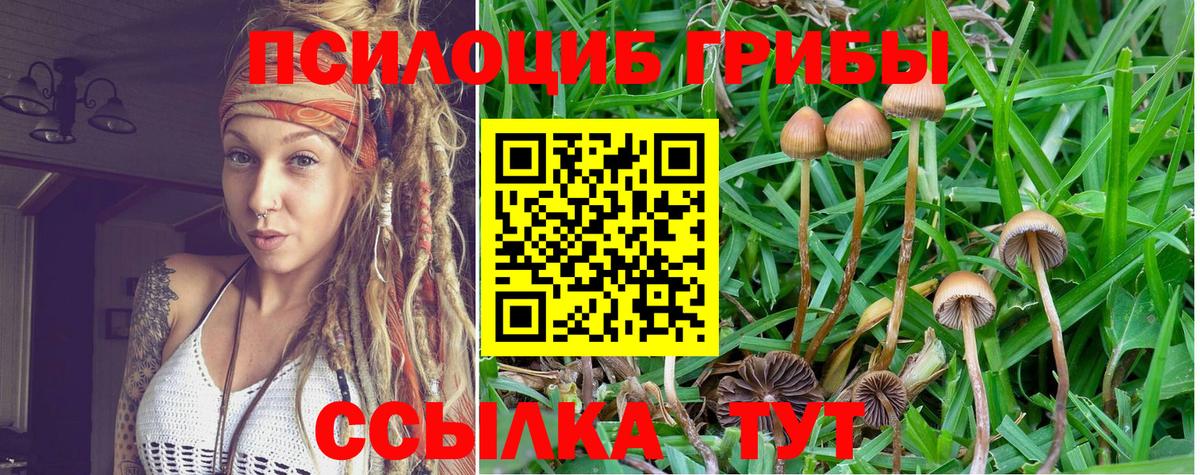 Саки  Галлюциногенные грибы прущие грибы  Вход с VPN 