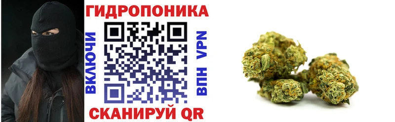 даркнет Telegram  купить закладку  Саки  Конопля сатива 